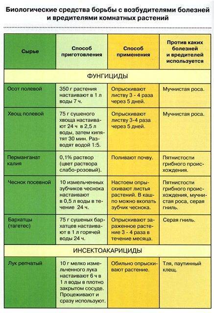 Схема обработки помидор от болезней и вредителей