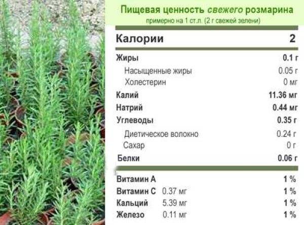 Гиалуроновая кислота для лица от морщин - эффект, помогает ли гиалуронка против морщин