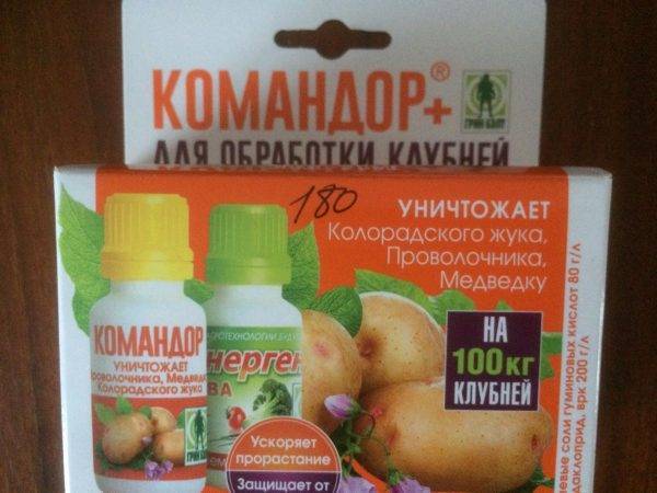 Колорадский жук: как бороться, средства, обработка народными средствами