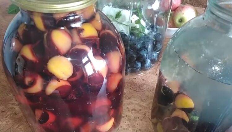 Компот из слив на зиму: лучшие рецепты