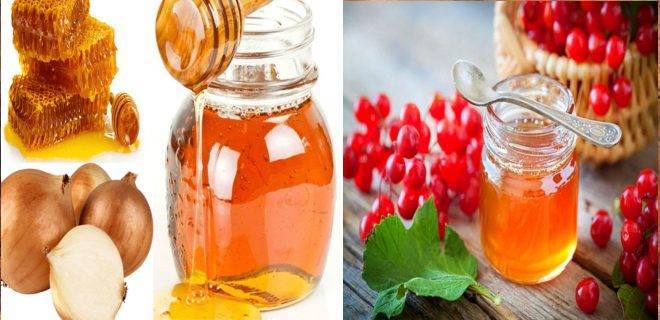 Калина с медом на зиму без варки: 6 простых рецептов заготовки