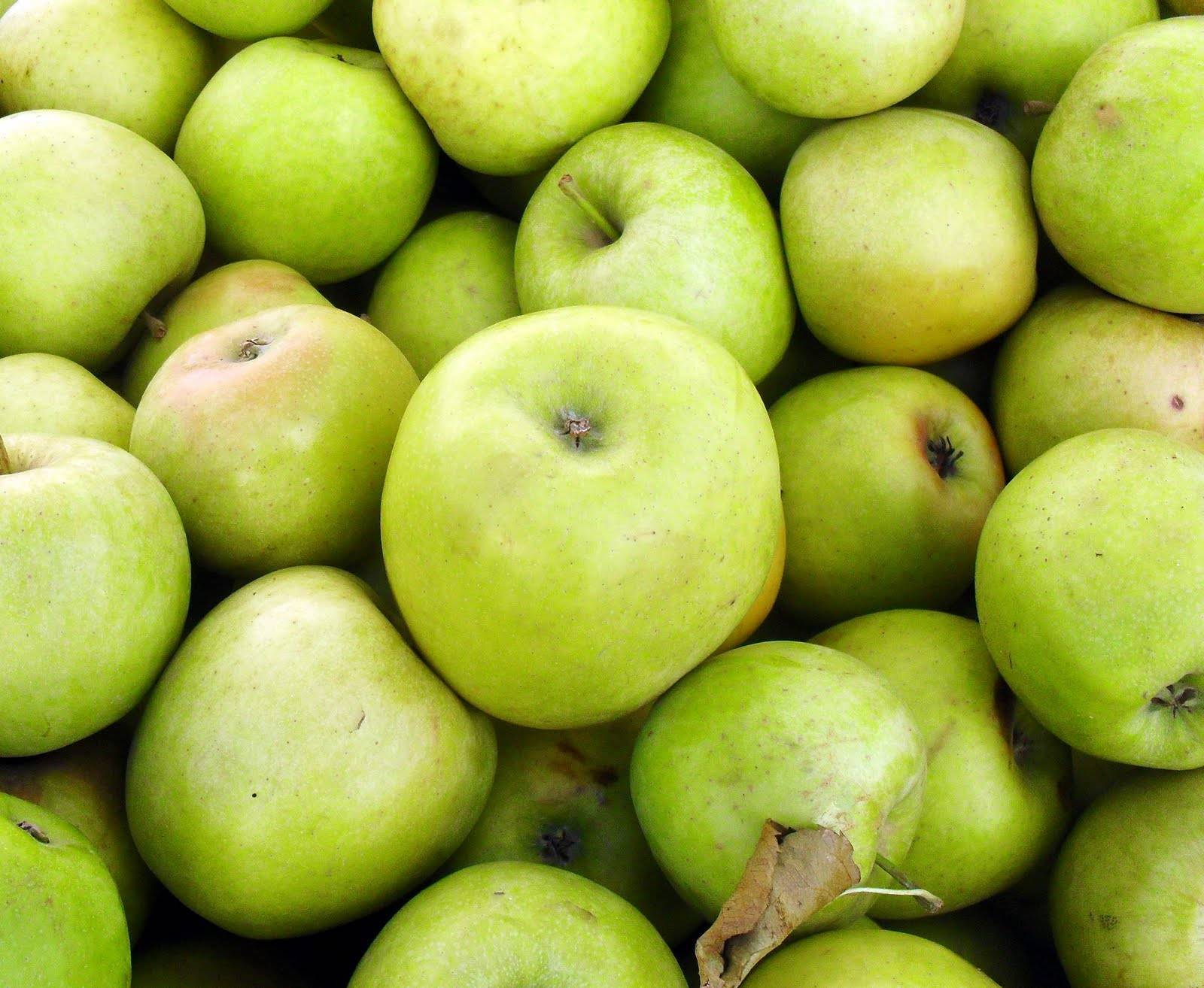 Яблоки гренни смит — описание, калорийность и полезные свойства