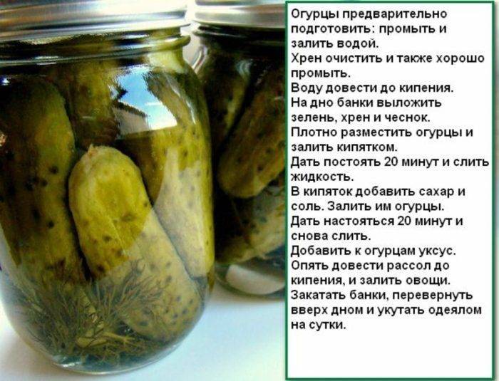 Холодный способ засолки огурцов - 12 пошаговых фото в рецепте