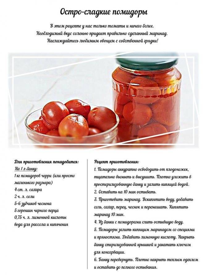 Как замариновать помидоры на зиму: 6 вкусных рецептов