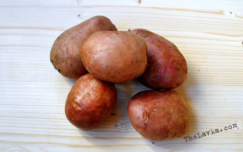 Картофель славянка: характеристика и описание сорта, фото, отзывы