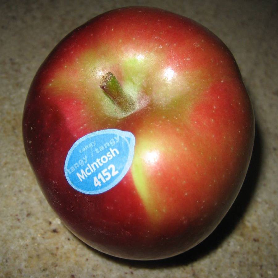 Описание яблони сорта макинтош: характеристики, фото, видео, отзывы садоводов