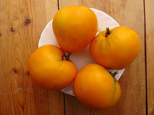 Описание сорта томата золотые купола — как поднять урожайность