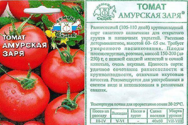 Сорта помидоров черри для открытого грунта: низкорослые, без пасынкования, а также лучшие томаты для выращивания в сибири и на урале