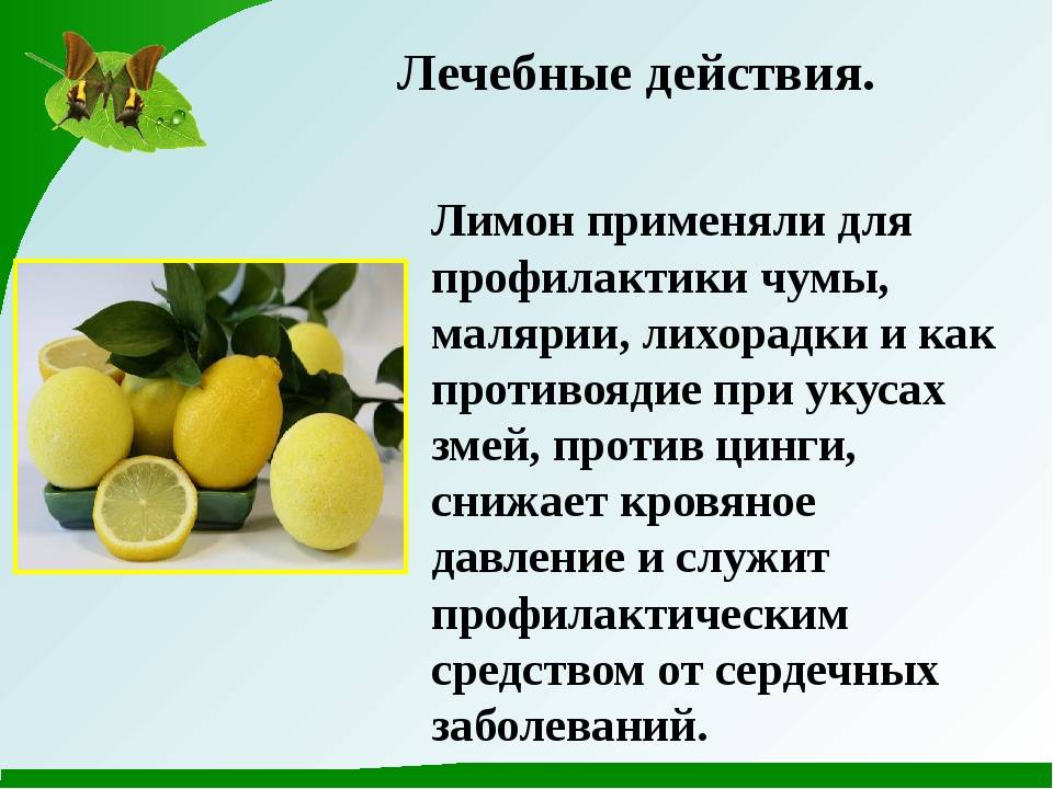 Чем полезен лимон: лечебные свойства для организма человека, применение, противопоказания