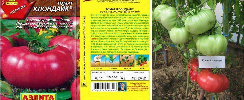 Описание и фото томата персей, урожайность сорта