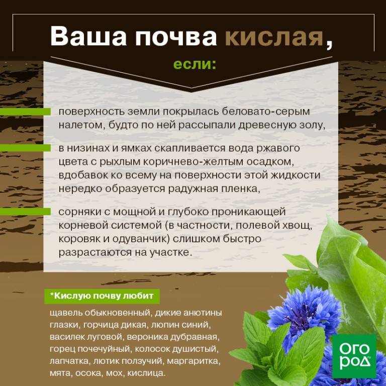 Кислотность почвы для растений и способы проверить грунт на участке selo.guru — интернет портал о сельском хозяйстве