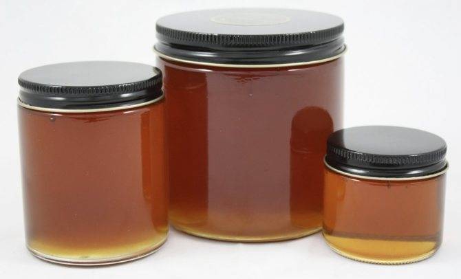Эвкалиптовый мед: бывает ли, полезные свойства, из абхазии