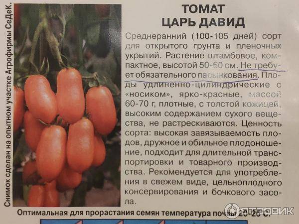 Лучшие полудетерминантные сорта томатов