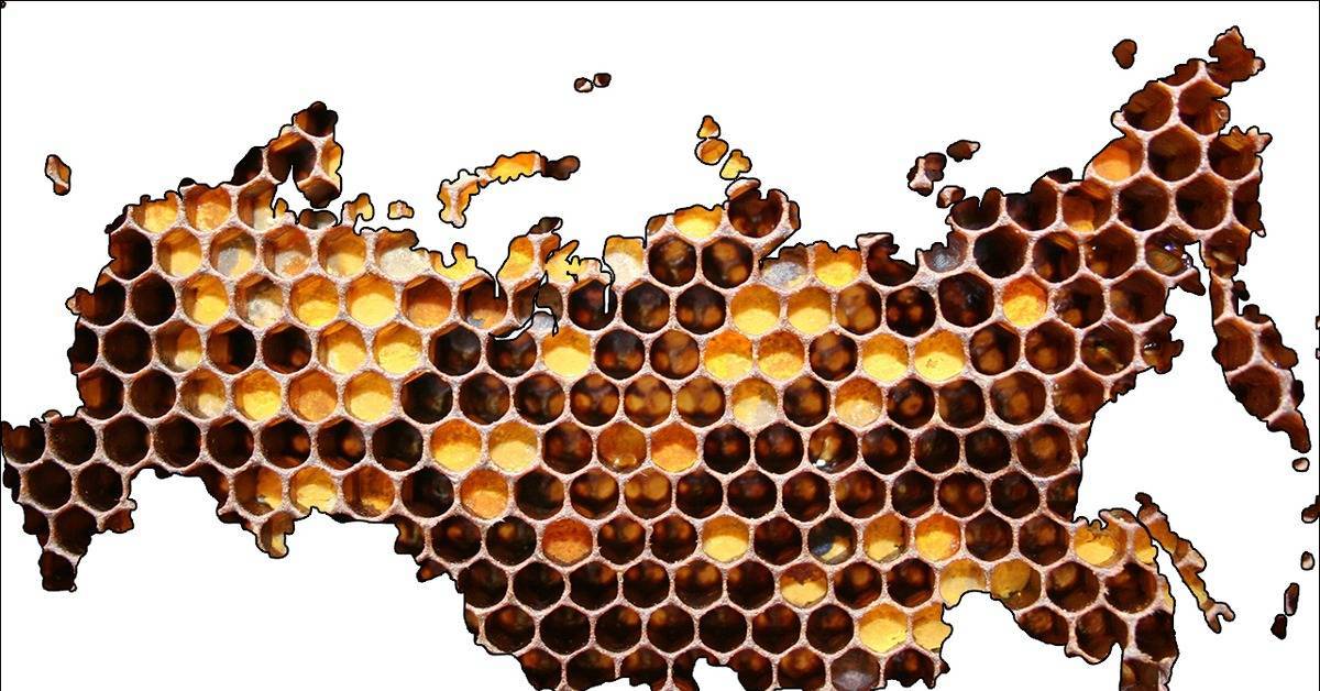 Краткая история развития пчеловодства в мире