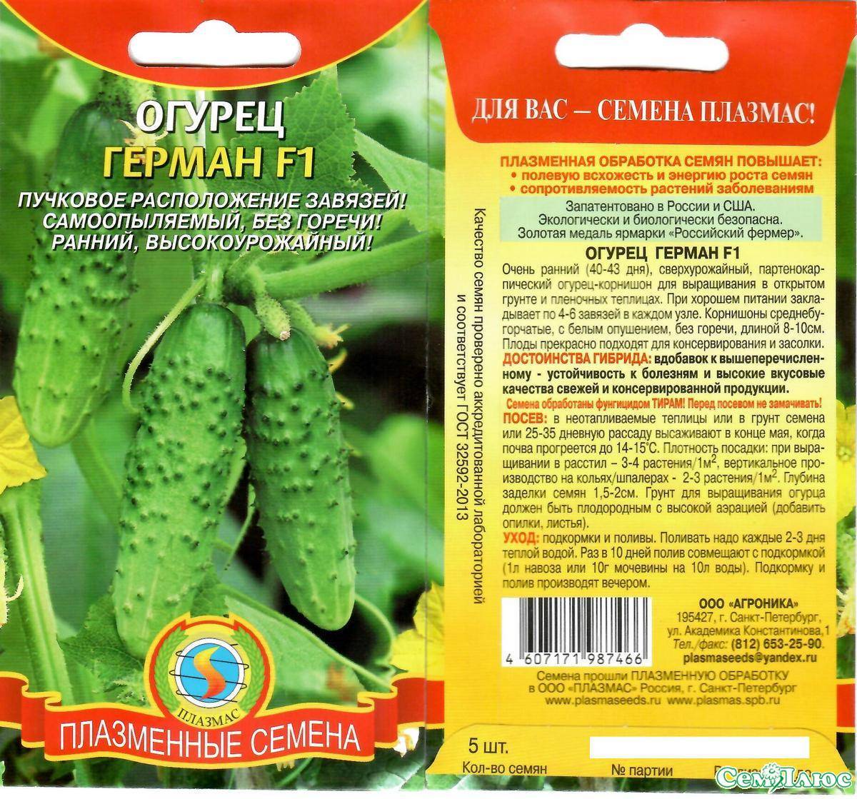 Огурцы меренга f1: описание, особенности выращивание гибридного сорта и отзывы садоводов