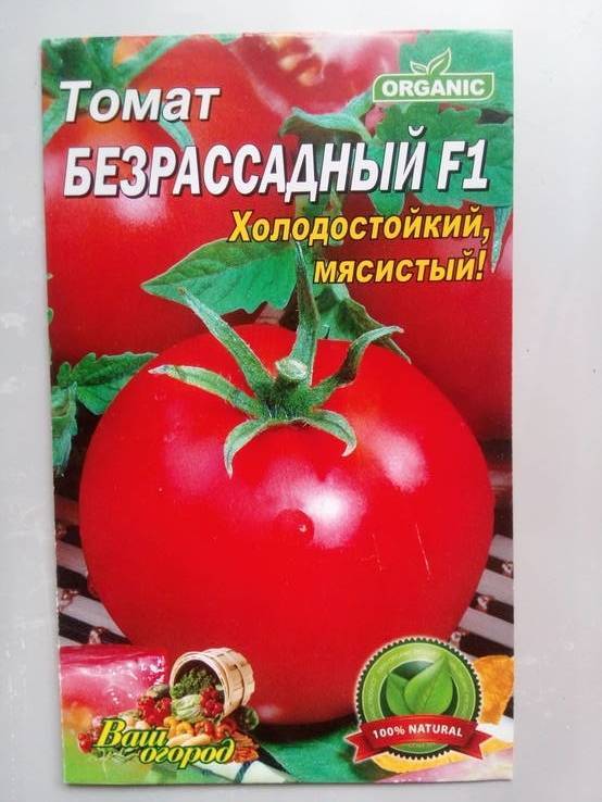 Выращивание томатов безрассадным способом в открытом грунте