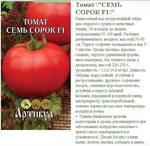 Томат новогодний: характеристика и описание сорта, фото помидоров, отзывы об урожайности куста