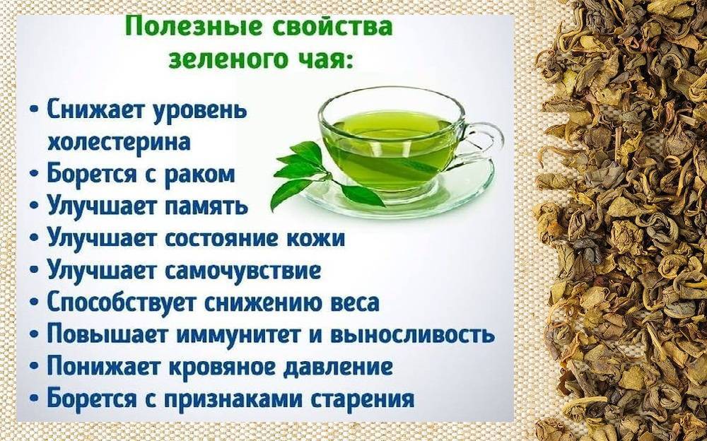Зеленый чай с медом: польза и вред - рецепты зеленого чая с медом