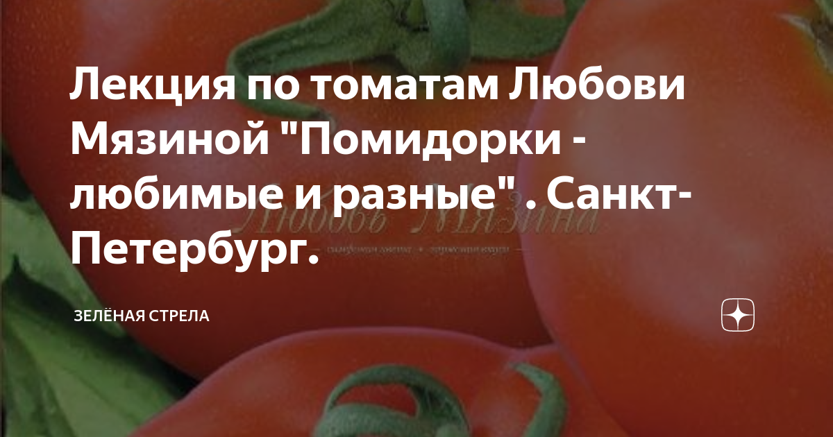 Лучшие сорта томатов 2021: итоги года от наших читателей