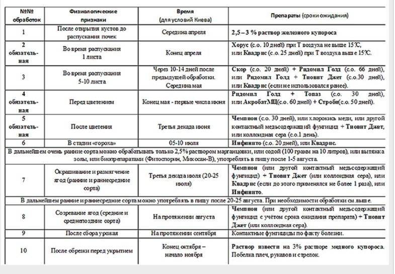 Фунгицид «тиовит джет»: инструкция по применению, состав и отзывы :: syl.ru