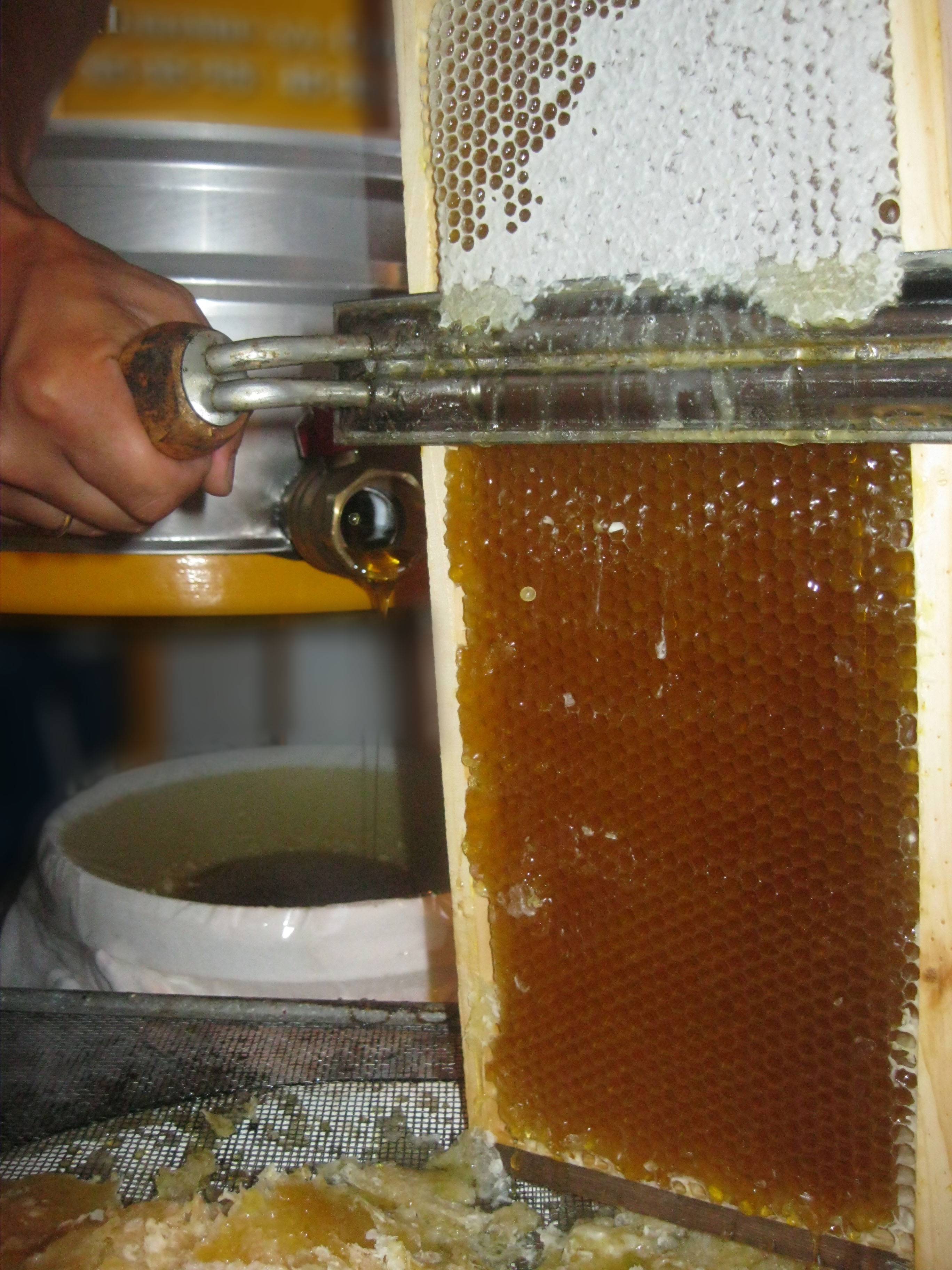 Забрус пчелиный применение, польза, состав и хранение