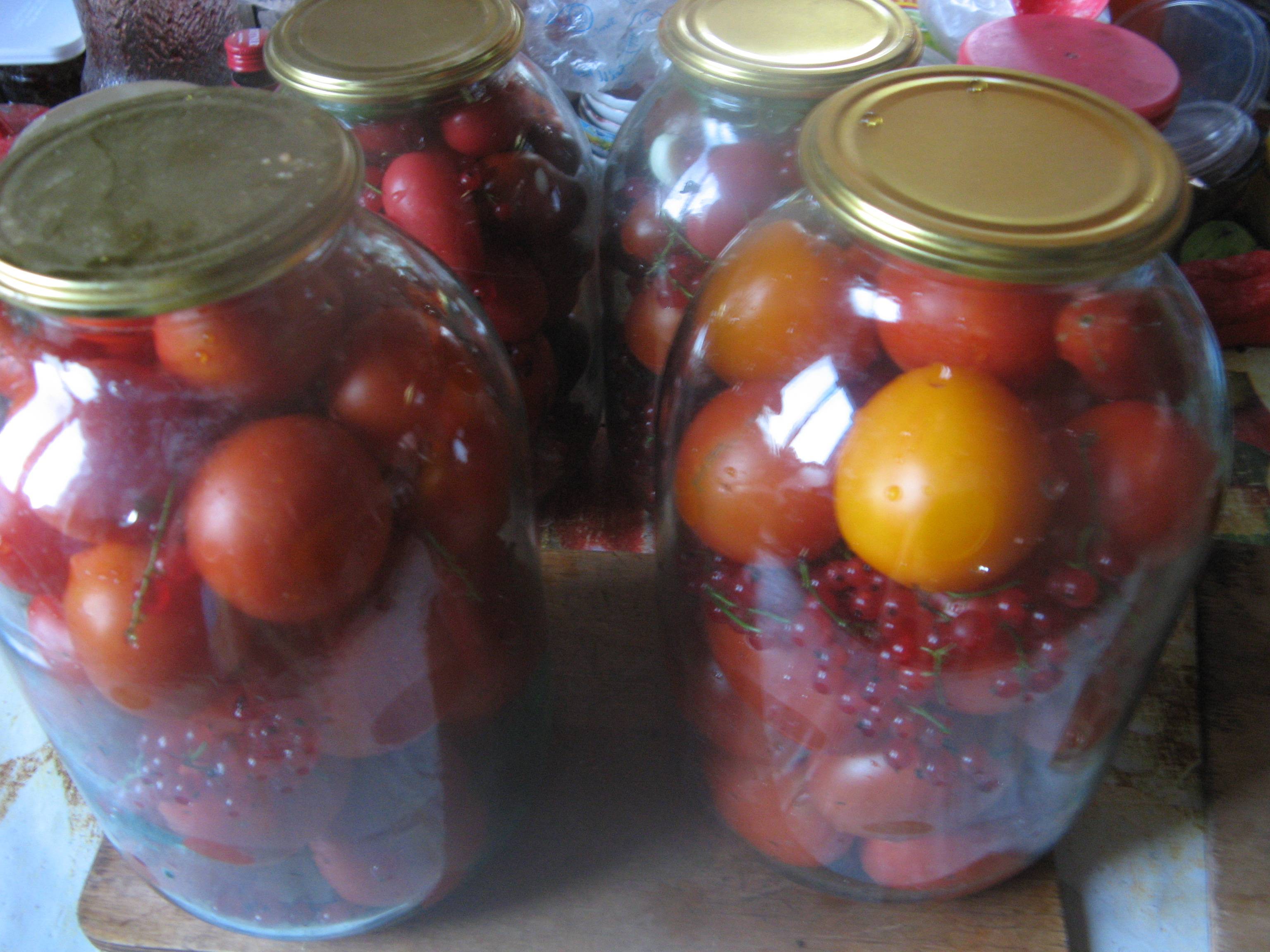 Рецепты маринования помидоров с красной смородиной на зиму, подготовка ингредиентов и условия хранения