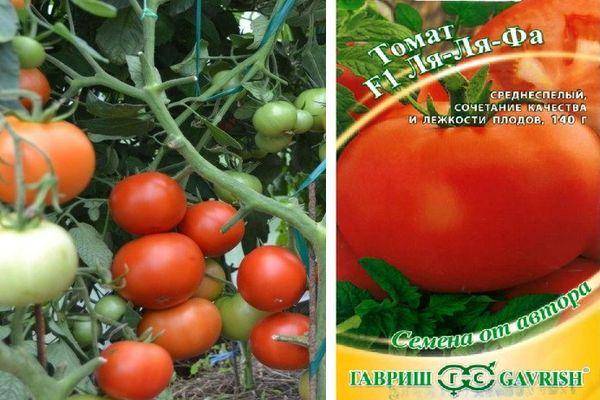 Томат ля ля фа: характеристика и описание сорта, урожайность и фото