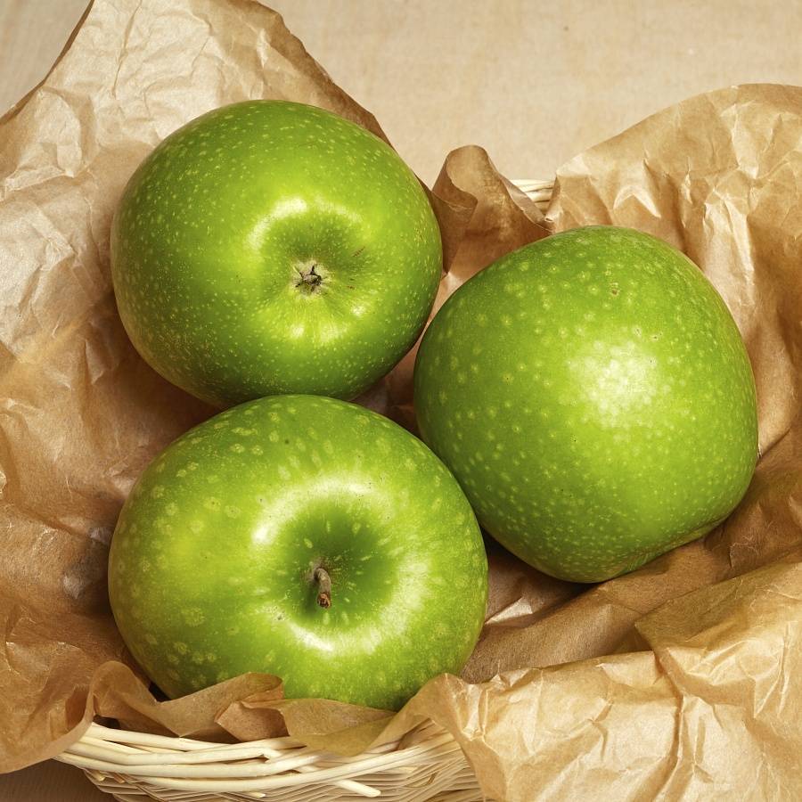 Семеренко яблоки: описание и характеристика сорта, чем полезны, посадка и уход