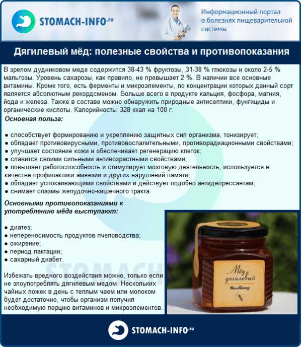 Сафлоровый мед: полезные свойства и противопоказания, рецепты использования