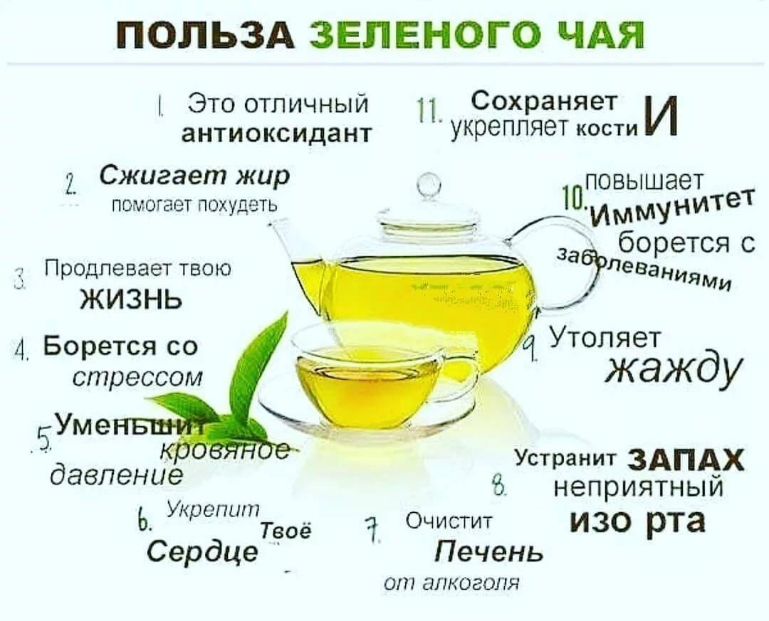 Чёрный, зелёный или белый: какой чай лучше и полезнее