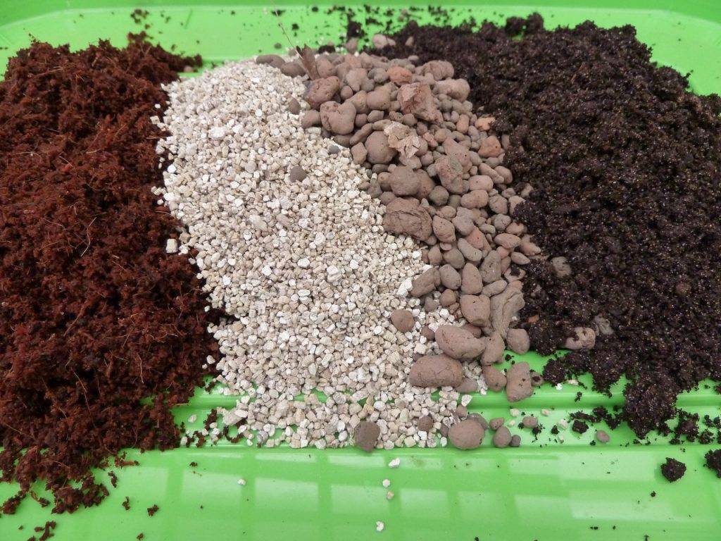 Лучший грунт для рассады: состав, подготовка почвы, рекомендации и отзывы :: syl.ru