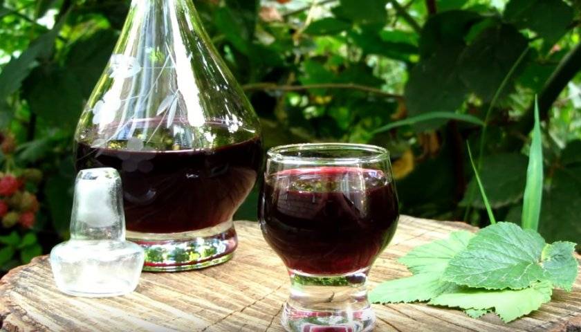 Рецепты настойки на смородине на самогоне: способы приготовления напитка на листьях и ветках, как настоять красную и черную ягоду; особенности хранения