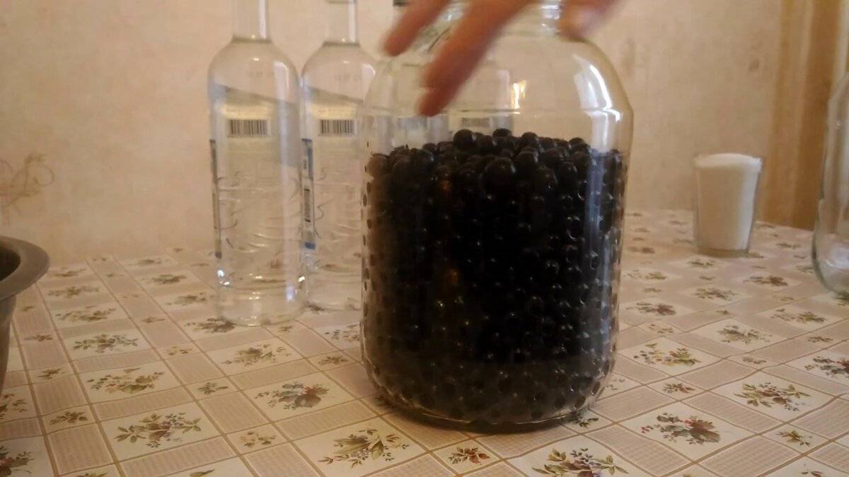 Настойка из черной смородины в домашних условиях: простой рецепт