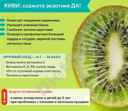 Киви фрукт — полезные свойства и противопоказания, вред для организма