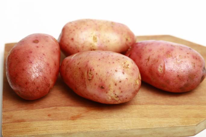 Описание сорта картофеля ред леди – 6 достоинств сорта