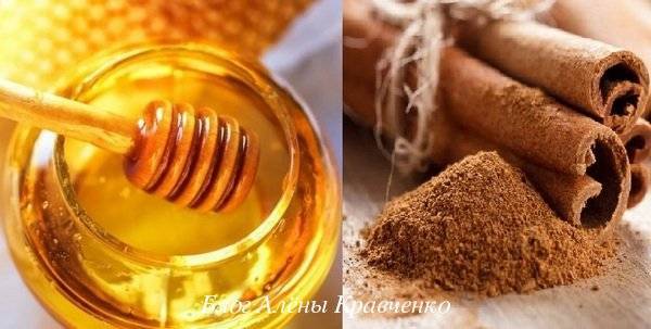 Мед для печени: польза и вред, как влияет, рецепты для лечения