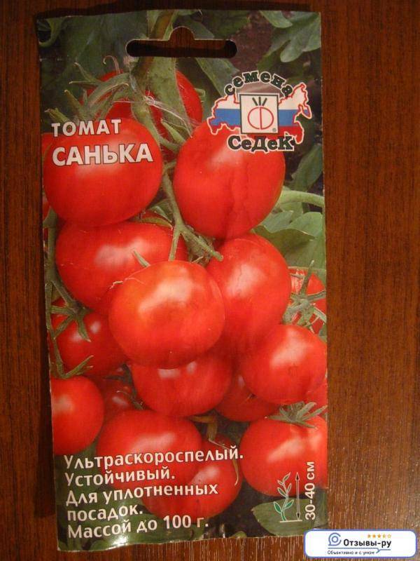 Семена томат ленинградский скороспелый: описание сорта, фото