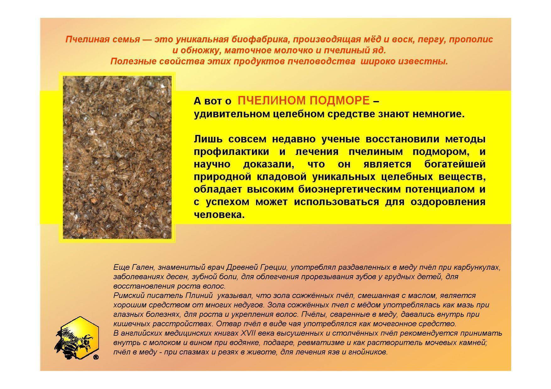 Пчелиный подмор от простатита: рецепты и применение