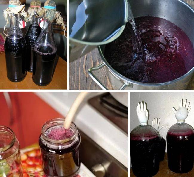 Вино из винограда своими руками в домашних условиях — 4 рецепта