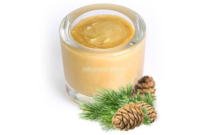 Мёд с кедровой живицей: полезные лечебные свойства и противопоказания, особенности применения