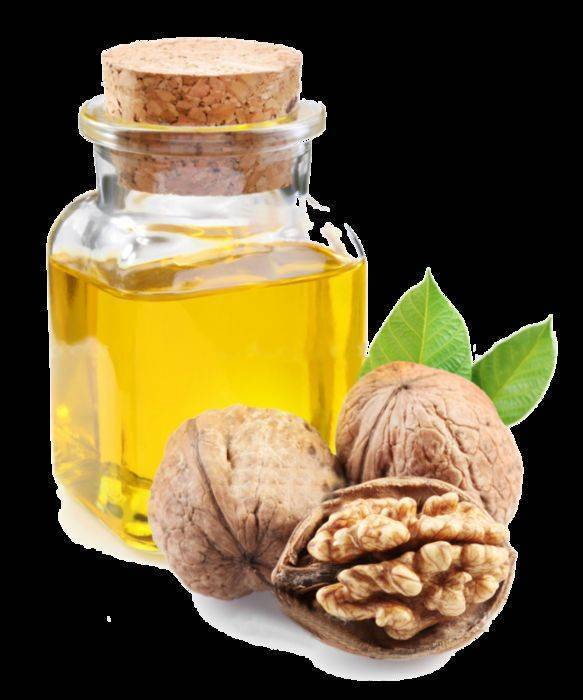 Листья грецкого ореха: полезные свойства, применение и лечение, противопоказания