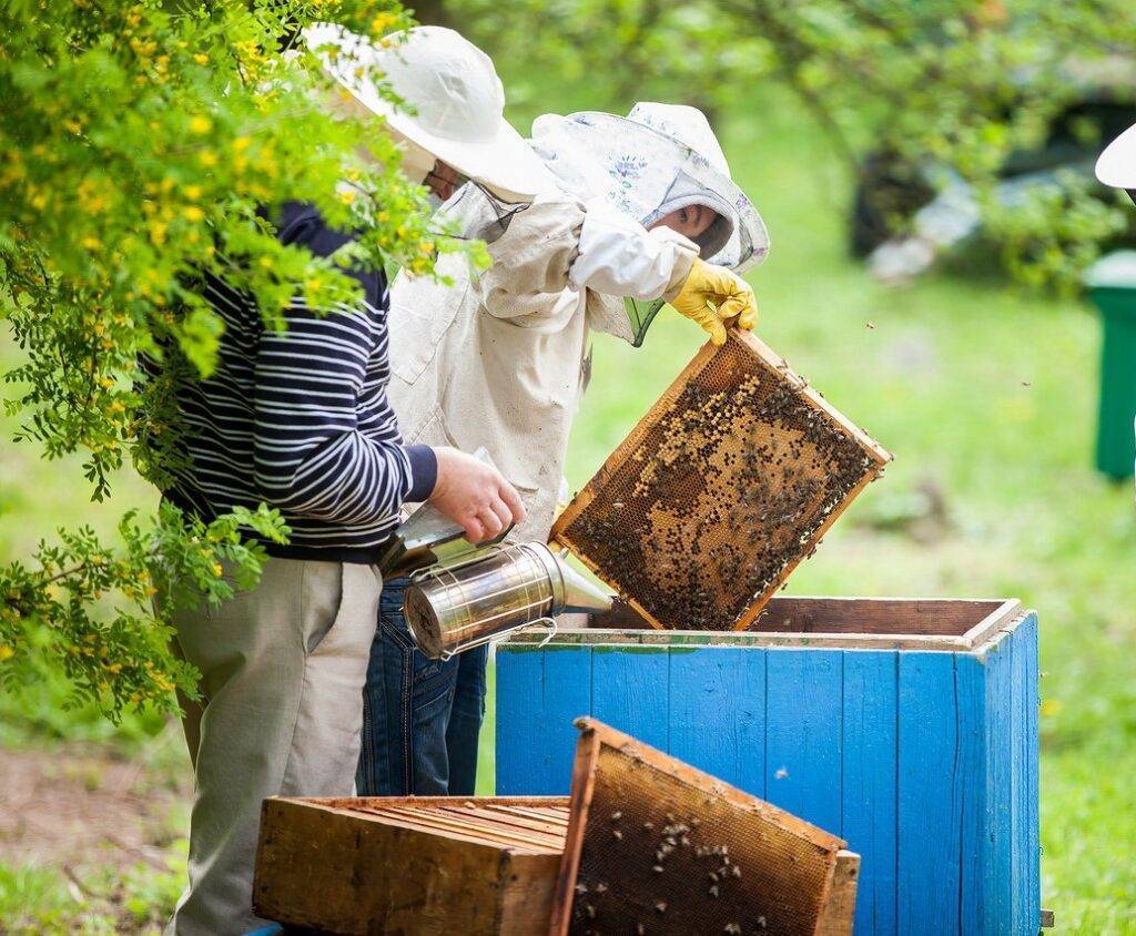 Празднование всемирного дня пчеловода