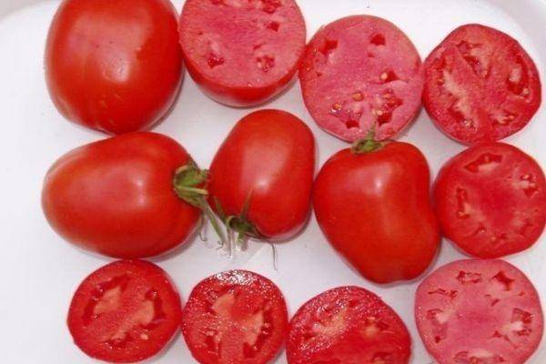 Томат дино f1: описание сорта, отзывы об урожайности помидоров, фото семян