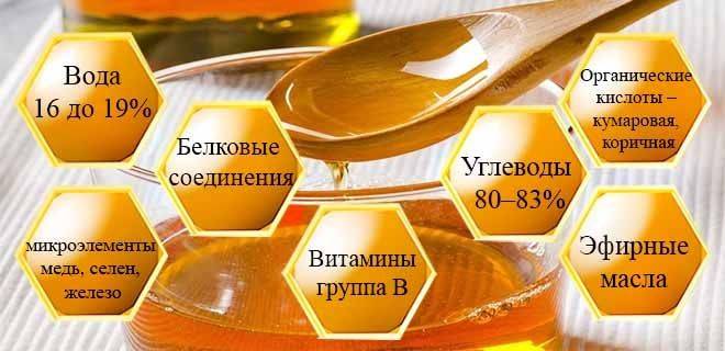 Эвкалиптовый мед: полезные свойства, противопоказания, состав