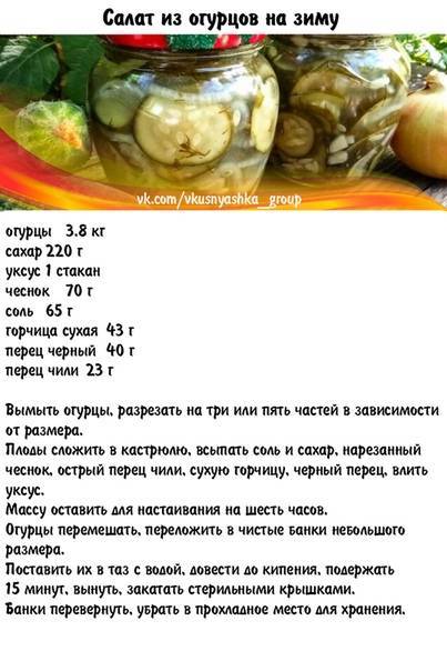 Хрустящие маринованные огурцы - 6 очень вкусных рецептов на зиму