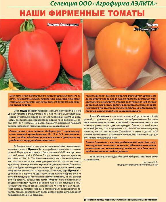 Аделина: описание сорта томата, характеристики помидоров, посев