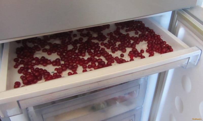 6 способов как заморозить вишню в холодильнике на зиму