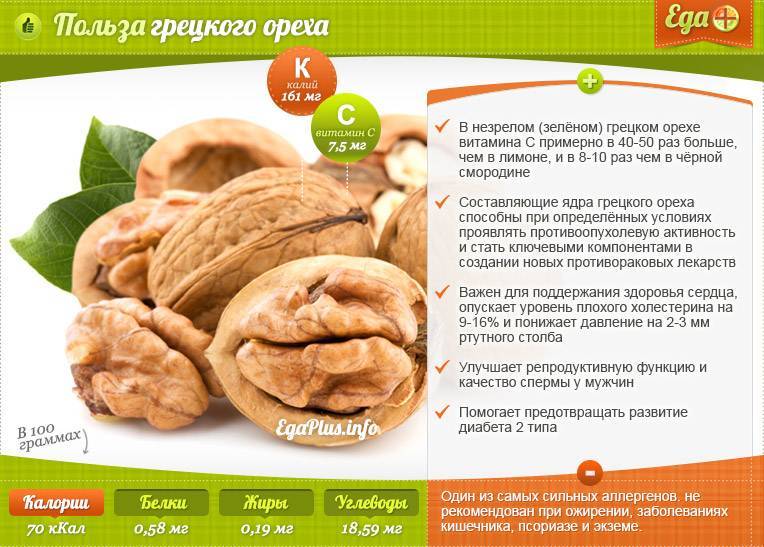 Грецкий орех: польза и вред для организма, сколько нужно съесть в день