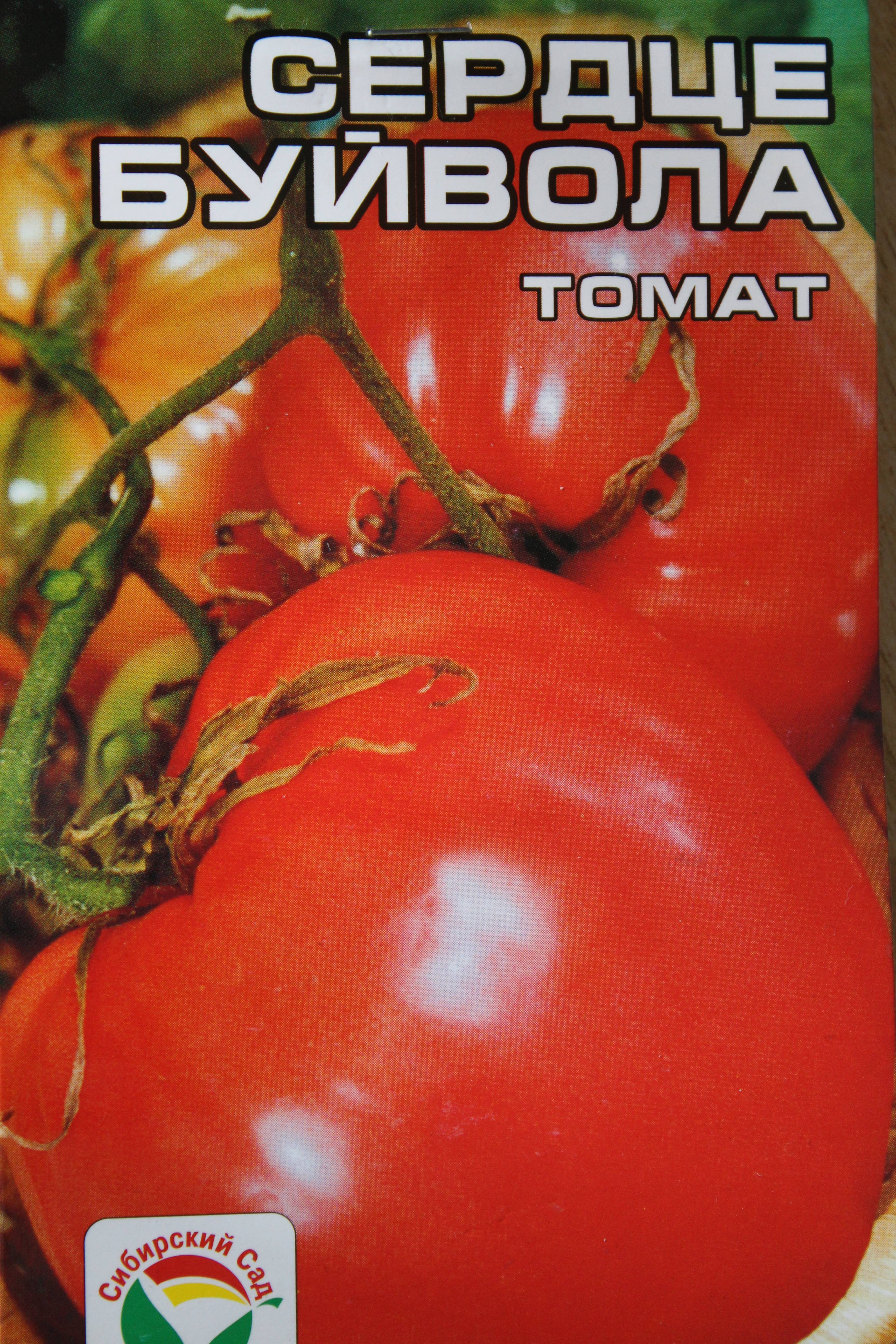 Томат сердце буйвола: характеристика и описание сорта, его преимущества и недостатки, секреты выращивания помидоров