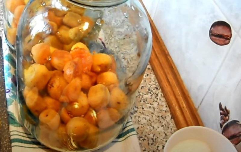 Фанта из абрикосов и апельсинов на зиму: 7 лучших пошаговых рецептов приготовления
